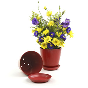 6.5" Biodegradable Pot  with tray- Red