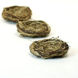 5" Fern/Grass  Nest 