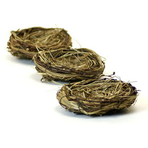 5" Fern/Grass  Nest 