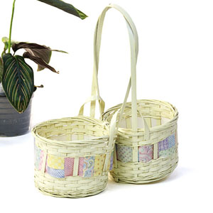 Bamboo Peanut Shop Pastel (2) 4" pots