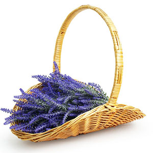  Peeled Willow Oval Fireside Basket 16" Honey 