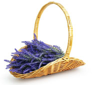  Peeled Willow Oval Fireside Basket 16" Honey 