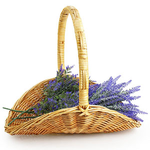  Peeled Willow Oval Fireside Basket 18" Honey 