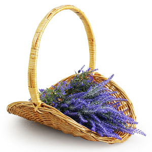  Peeled Willow Oval Fireside Basket 18" Honey 