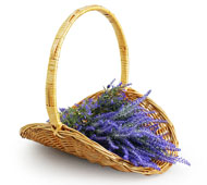  Peeled Willow Oval Fireside Basket 18" Honey 