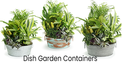 Dish Garden Containers