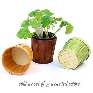 5" Woodchip/Bamboo Pot Cover 3-Color