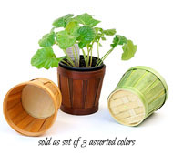 5" Woodchip/Bamboo Pot Cover 3-Color