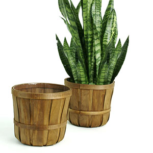 Woodchip Bushel Basket Stained