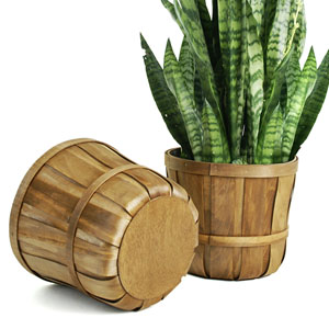 Woodchip Bushel Basket Stained