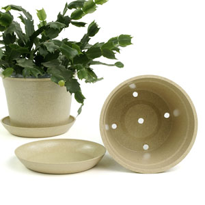 6.75" Biodegradable Pot  with tray- Cream