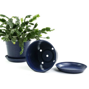 6.75" Biodegradable Pot  with tray- Navy