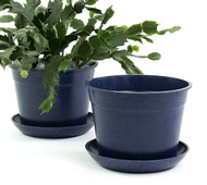 6.75" Biodegradable Pot  with tray- Navy