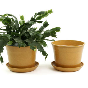 6.75" Biodegradable Pot  with tray- Orange