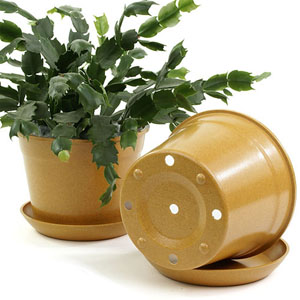 6.75" Biodegradable Pot  with tray- Orange