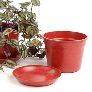 6.75" Biodegradable Pot  with tray- Red