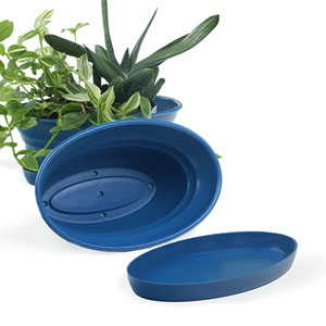 9.75" Oval Biodegradable with tray- Blue