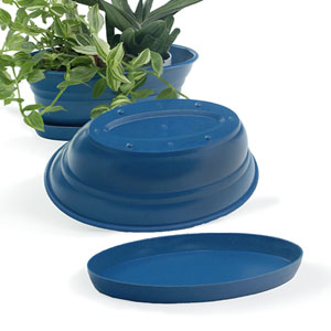 9.75" Oval Biodegradable with tray- Blue