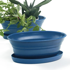 9.75" Oval Biodegradable with tray- Blue