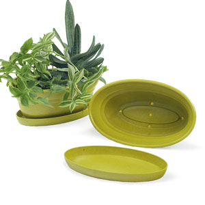 9.75" Oval Biodegradable with tray- Yellow