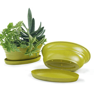 9.75" Oval Biodegradable with tray- Yellow