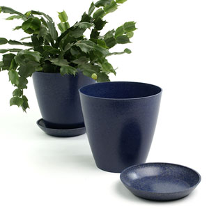 6.5" Biodegradable Pot  with tray- Navy