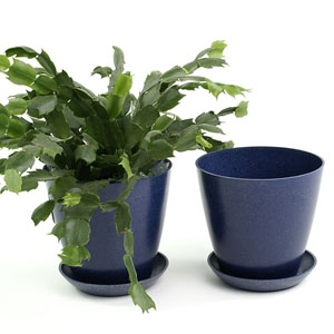 6.5" Biodegradable Pot  with tray- Navy