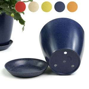 6.5" Biodegradable Pot  with tray- Navy