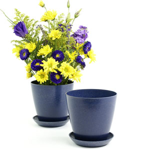 6.5" Biodegradable Pot  with tray- Navy