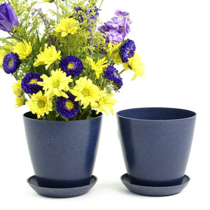 6.5" Biodegradable Pot  with tray- Navy