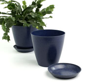 6.5" Biodegradable Pot  with tray- Navy