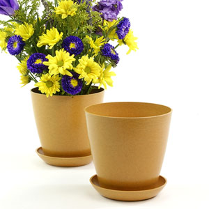 6.5" Biodegradable Pot  with tray- Orange