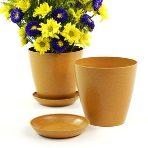 6.5" Biodegradable Pot  with tray- Orange