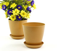 6.5" Biodegradable Pot  with tray- Orange