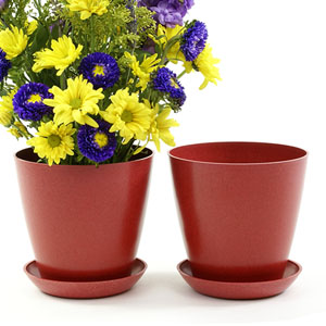 6.5" Biodegradable Pot  with tray- Red