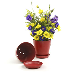 6.5" Biodegradable Pot  with tray- Red