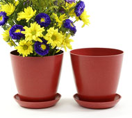 6.5" Biodegradable Pot  with tray- Red