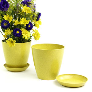 6.5" Biodegradable Pot  with tray- Yellow