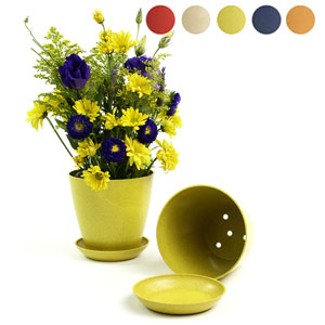 6.5" Biodegradable Pot  with tray- Yellow