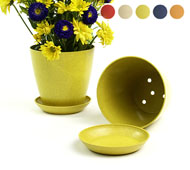 6.5" Biodegradable Pot  with tray- Yellow