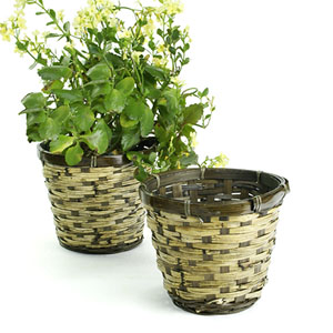 Rattan Pot Cover for 6" pot