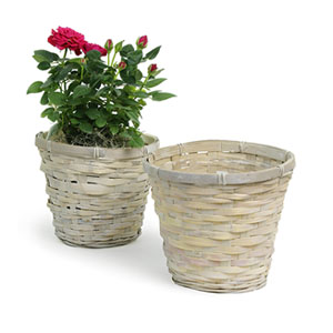 Rattan Pot Cover WhiteWash for 6" pot