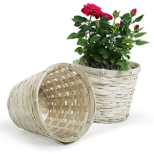 Rattan Pot Cover WhiteWash for 6" pot