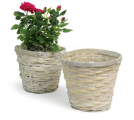 Rattan Pot Cover Wh...