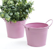 5"  Tin Pot Light Pink