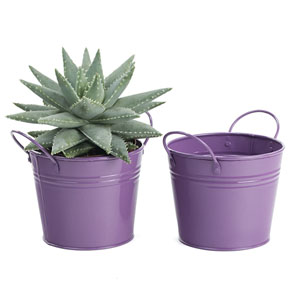 5"  Tin Pot  Purple