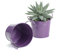 5"  Tin Pot  Purple