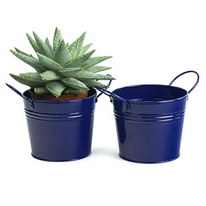 5" Round Tin Pot Royal Blue