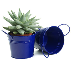 5" Round Tin Pot Royal Blue