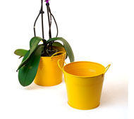 6.5" Tin Pot GoldenRod Yellow